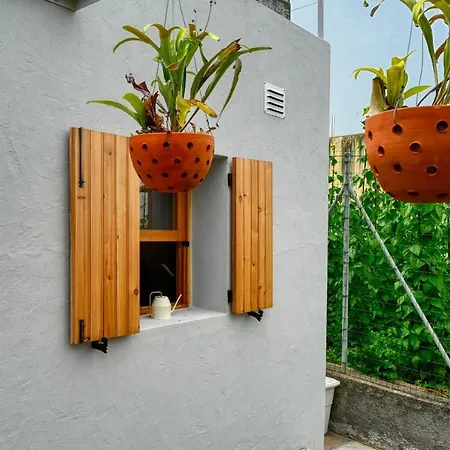 Σπίτι διακοπών O Lagar Do Avo, A In Madeira *