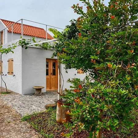 O Lagar Do Avo, A In Madeira Сasa de vacaciones São Jorge