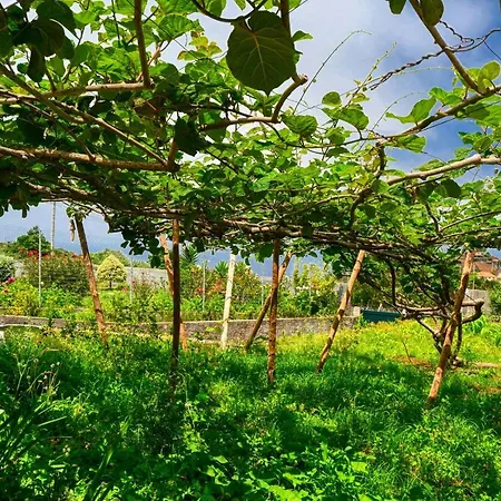 O Lagar Do Avô, A In Madeira * São Jorge