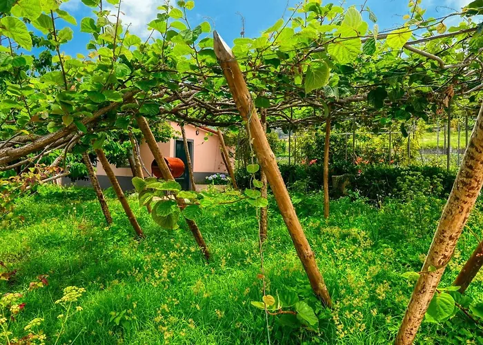 O Lagar Do Avo, A In Madeira * São Jorge