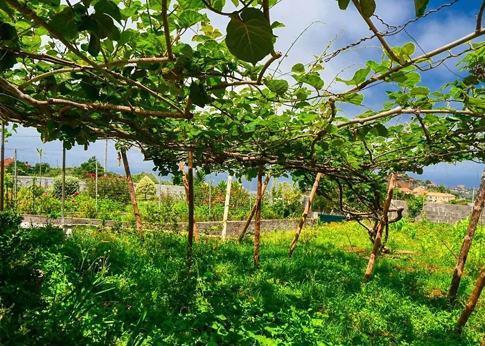 O Lagar Do Avo, A In Madeira * Сан-Жоржи